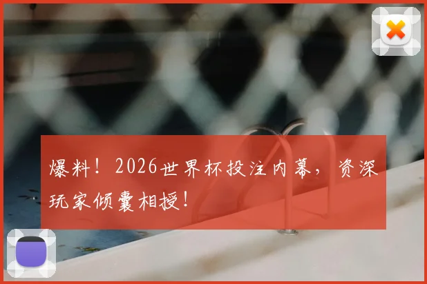 爆料！2026世界杯投注内幕，资深玩家倾囊相授！