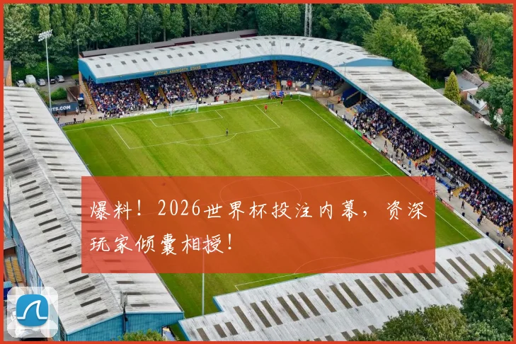 爆料！2026世界杯投注内幕，资深玩家倾囊相授！
