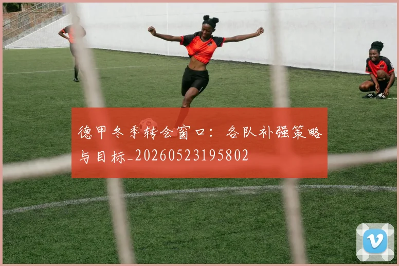 德甲冬季转会窗口：各队补强策略与目标_20260523195802